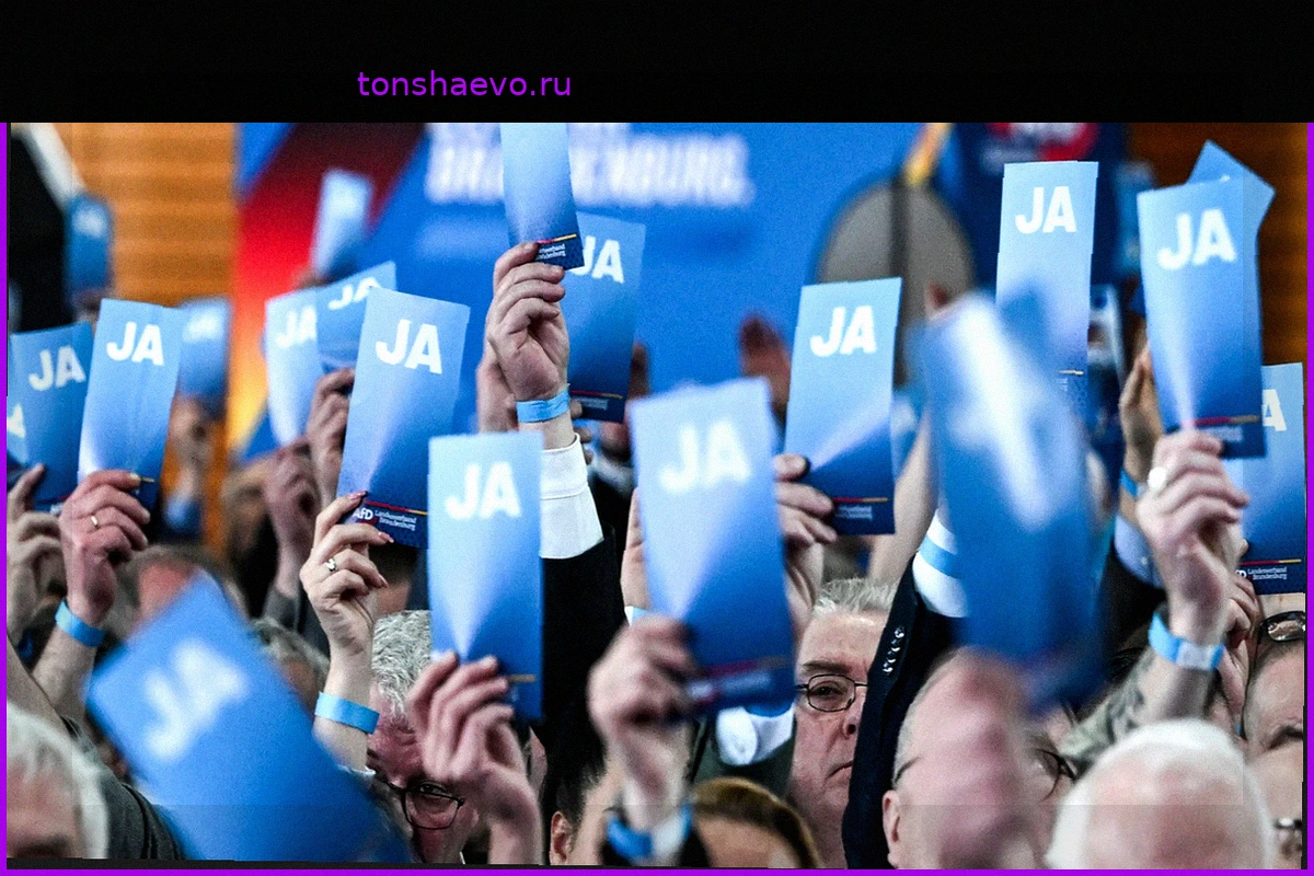 Моббинг за счет государства? Сотрудники АдГ обвиняются в травле