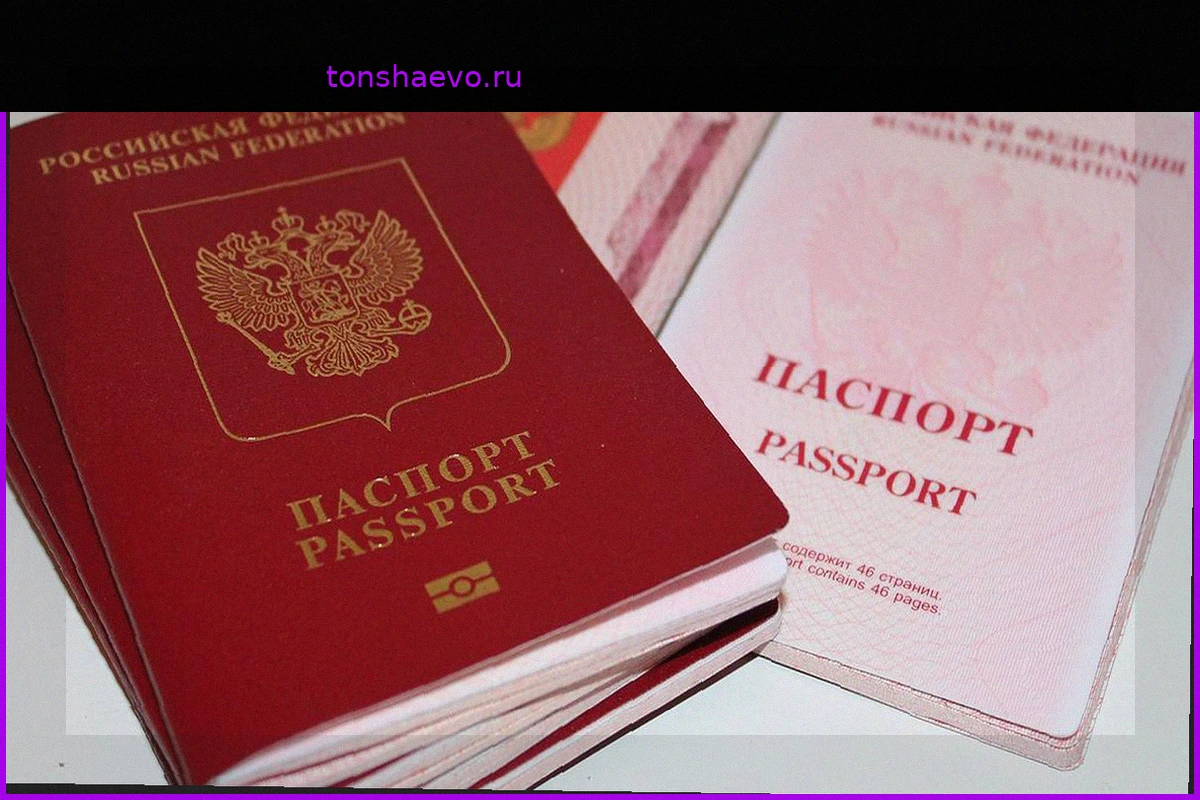 Россия на пути к расширению безвизовых направлений: переговоры с Малайзией, Кувейтом и Бахрейном