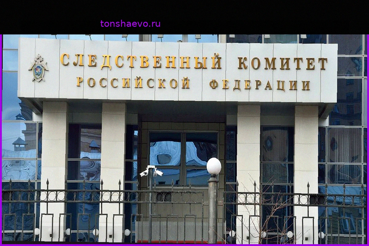 СК ходатайствует об аресте мужчины, убившего брата в Москве