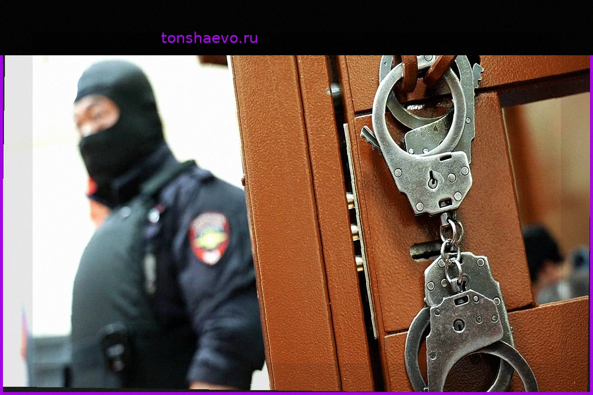 В Москве задержали мошенников, вымогавших 40 миллионов рублей за фиктивную помощь с арендой