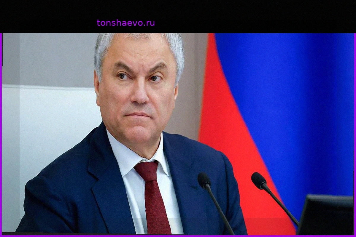 Володин заявил о существенном сокращении телефонного мошенничества