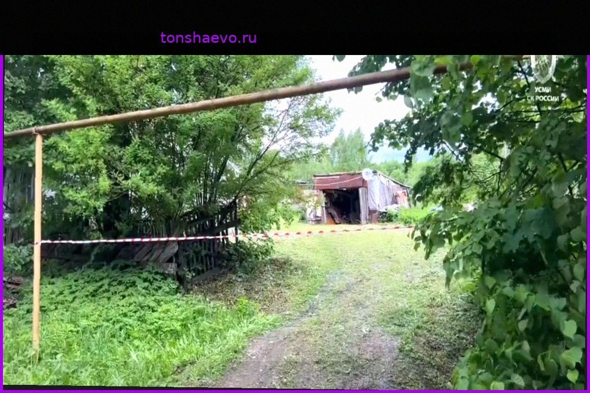 Трагедия под Тулой: Жестокое убийство бабушки и внучки