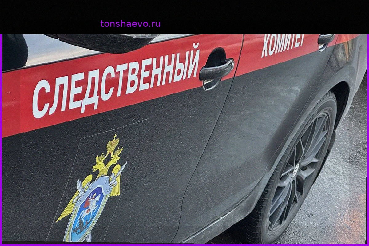 Основная версия исчезновения семьи Усольцевых в тайге – несчастный случай, заявили в СК