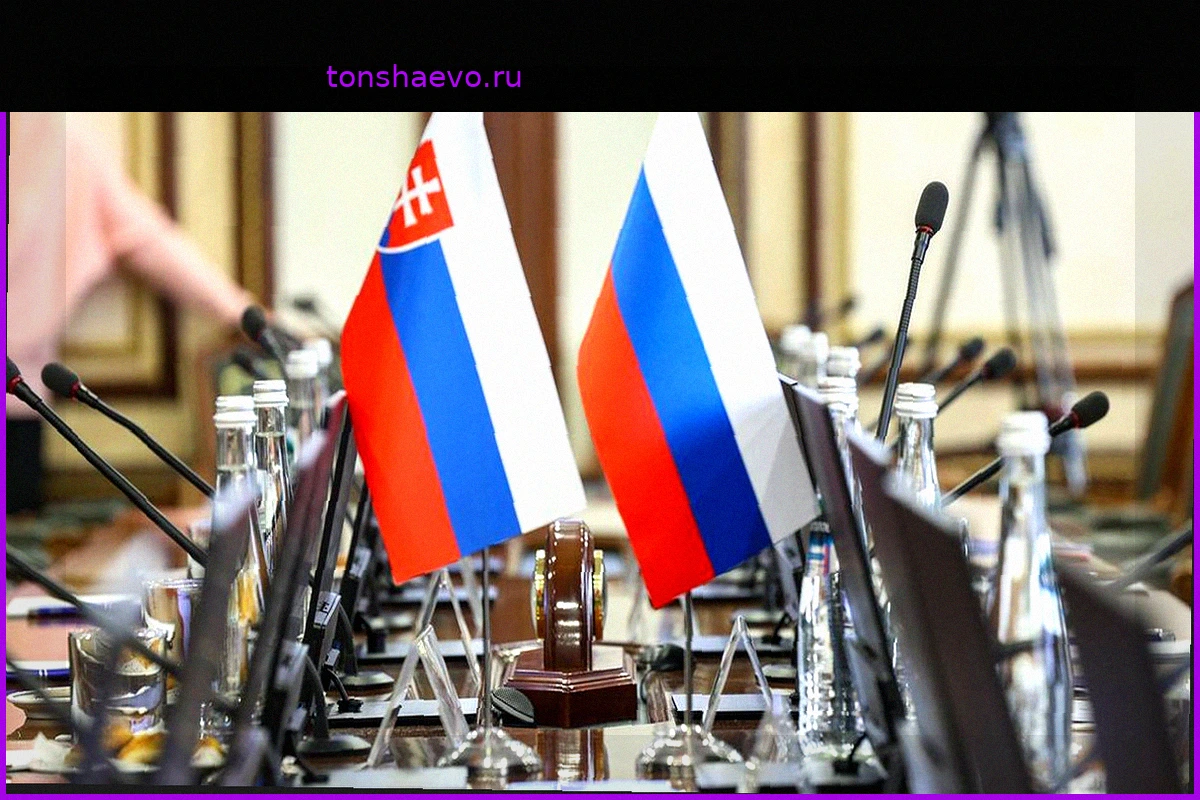 Словакия не будет участвовать в «фарсовом» трибунале против РФ, заявил евродепутат Блага