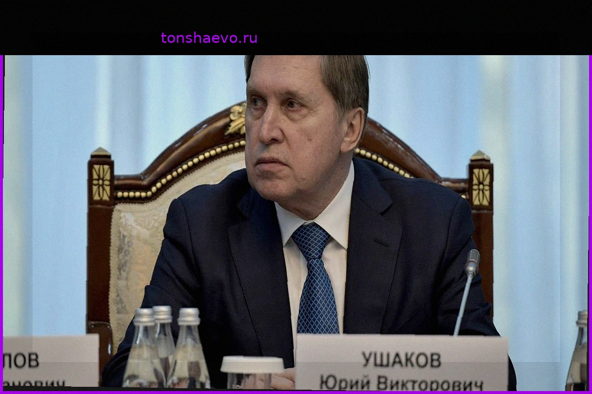 Ушаков: Без вывода ВСУ из Донбасса переговоры будут стоять на одном месте